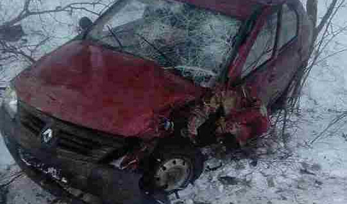 В Тверской области пьяный 18-летний водитель врезался в дерево