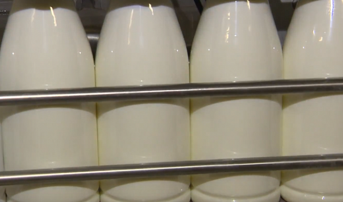 В Твери в молоке из Рязани нашли антибиотики