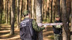 В Тверской области осудили лесоруба, убившего своего коллегу