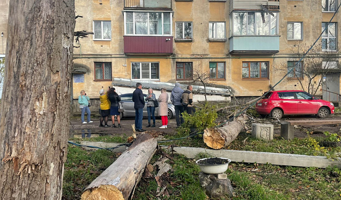 В Тверской области ураганный ветер повалил дерево на балконы и автомобили