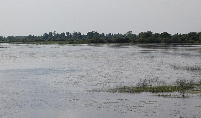 Житель Тверской области во время экстремальных погружений утонул в реке Молога