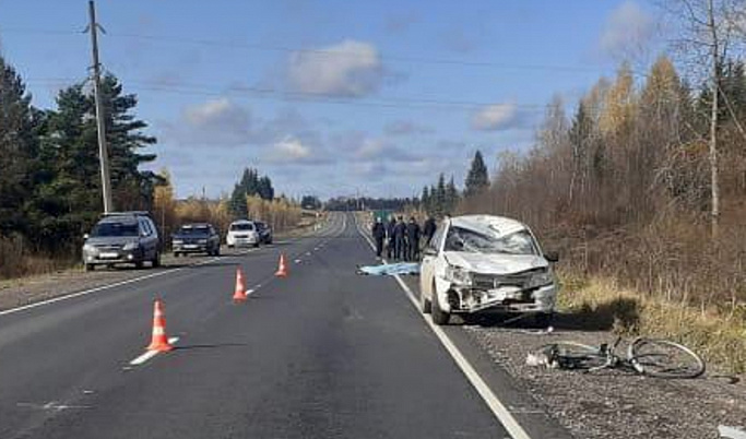 В Тверской области водитель сбил насмерть велосипедиста