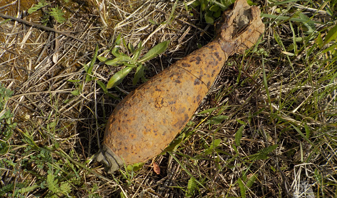 Около деревни Зубцовского округа нашли гранату, мину и артиллерийский снаряд