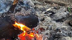 С начала пожароопасного сезона в лесах Тверской области произошло два возгорания