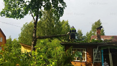 Силы МЧС в Тверской области устраняли последствия сильного ветра