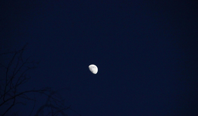 Над Тверской областью пройдет полутеневое затмение луны