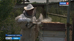 Как погода влияет на пчеловодство в Тверской области