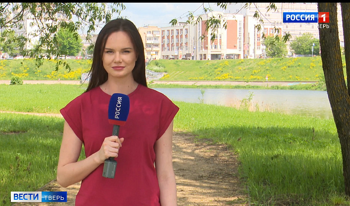 Аномальная жара задержится в Тверской области на несколько дней                                                          