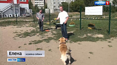 В Твери появилась первая муниципальная площадка для выгула собак