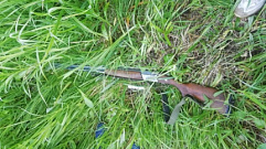 Жителям Тверской области разрешили отстрелить более 2 тысяч лосей