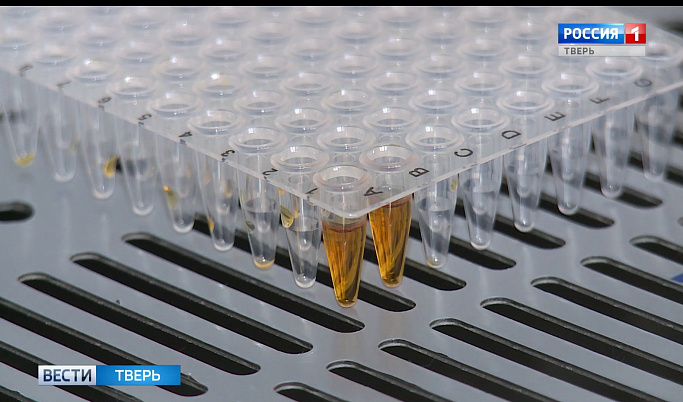 В Твери откроют единственную в стране лабораторию генетических исследований лубяных культур