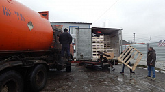 На полигоне в Западной Двине уничтожили более 4 тонн груш