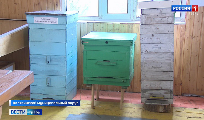 Более ста экспонатов представлено в музее пчеловодства в Тверской области