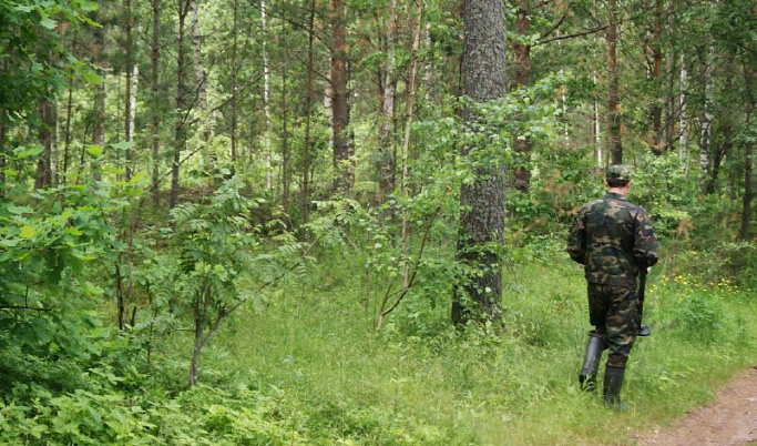 В лесу в Тверской области нашли тело 83-летнего грибника