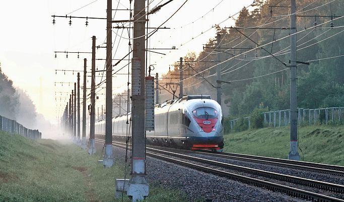 В Тверской области высокоскоростной поезд насмерть сбил человека