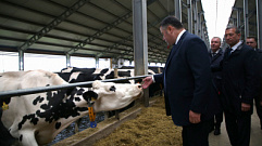 В Тверской области увеличен темп уборочных сельхозработ