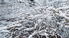 Сильный снегопад накроет Тверскую область