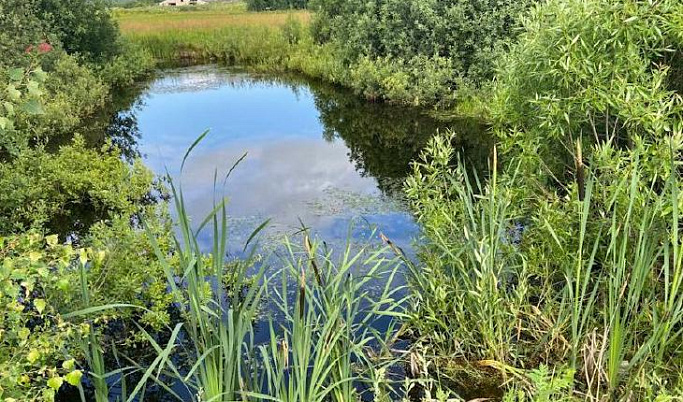 В Тверской области 30-летний мужчина пошел на рыбалку и утонул 