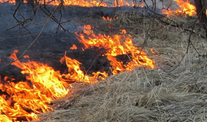 В Твери удалось предотвратить несколько серьезных пожаров благодаря горожанам 