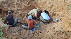 КАЭС: бойцы поискового движения Росэнергоатома обнаружили под Ржевом останки 37 воинов