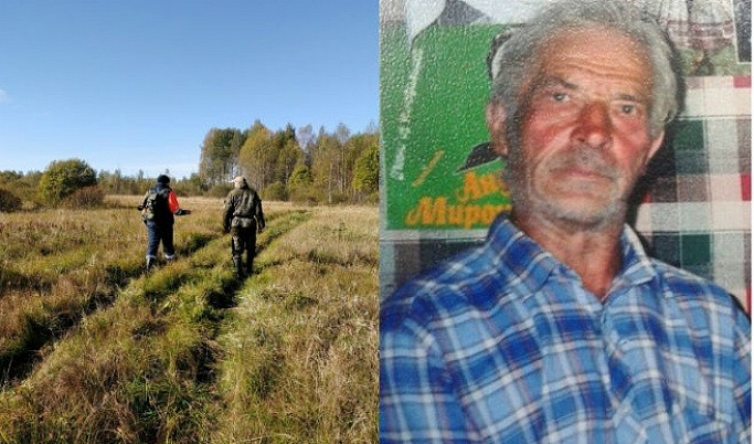 В Тверской области продолжаются поиски мужчины, пропавшего в лесу неделю назад