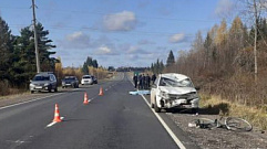 В Тверской области водитель сбил насмерть велосипедиста