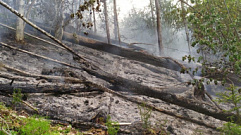 5 лесных пожаров с начала сезона потушили в Тверской области