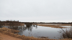 Уровень реки Межа в Тверской области поднялся до максимального уровня – 4,6 метров