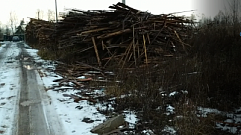 В Тверской области предпринимателя наказали за накопление отходов древесины