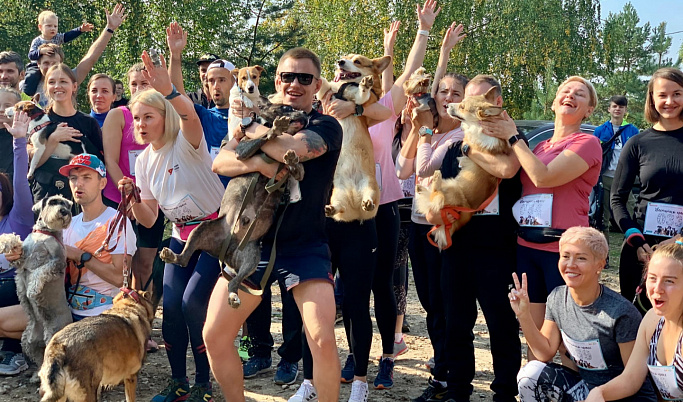 В Твери 40 собак приняли участие в «Хвостатом кроссе»