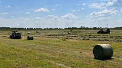 В Тверской области начали заготавливать корма для животноводства