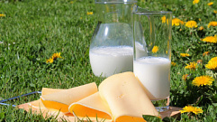 Сыр, творог, масло и молоко с растительными маслами продавали в магазинах Тверской области