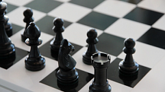 Жителей Твери приглашают сыграть в «Го» и «Медвежьи шахматы»