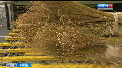 На выставке «Золотая осень» Тверская область подписала соглашение о сотрудничестве в сфере переработки льна