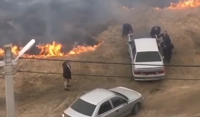 В Тверской области из-за пала травы едва не сгорели автомобили