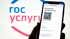 В Тверской области многодетные семьи могут получить цифровое удостоверение