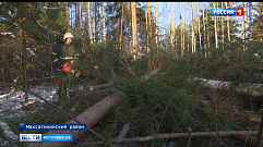  В Тверской области продолжаются работы по восстановлению электроснабжения