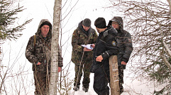 В Тверской области лесопатолог обвиняется в служебном подлоге