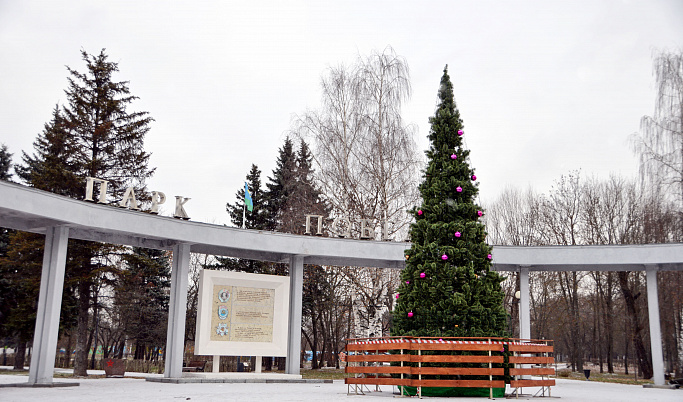 В Твери в парке Победы установили новогоднюю ель