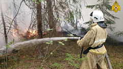 27 человек тушили загоревшуюся лесную подстилку в Тверской области