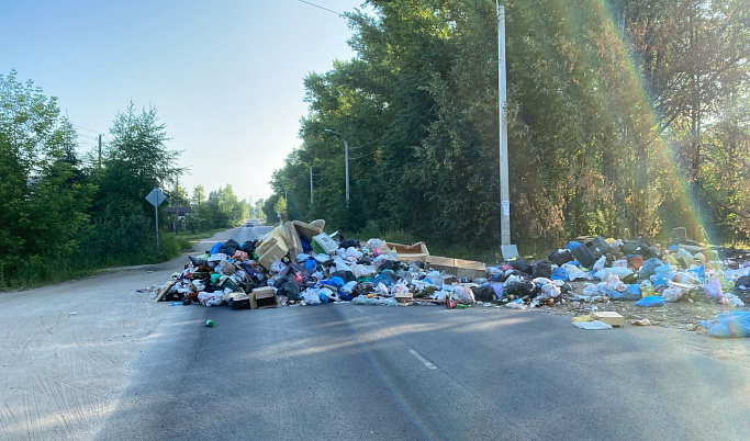 Огромную кучу мусора выбросили прямо на дорогу в Тверской области