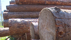В Тверской области ИП получил штраф за складирование древесины вдоль трассы 