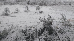 Жители Тверской области увидели первый снег