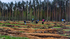 Тверская область высадила больше всех деревьев в рамках акции «Сад памяти»