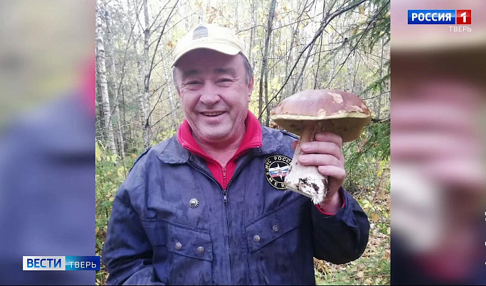 Жители Тверской области делятся фотографиями грибов-гигантов