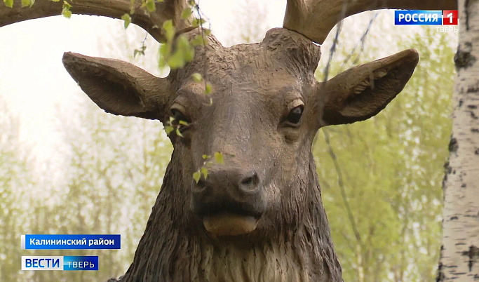 На оленьей ферме в Тверской области появился новый арт-объект