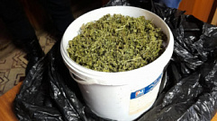 Жителю Тверской области грозит до 10 лет за хранение 234 граммов марихуаны