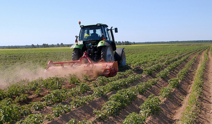 Аграрии Тверской области продолжают уборку урожая
