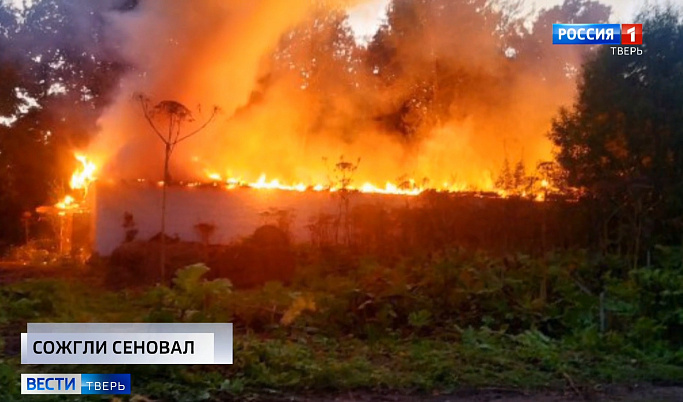 Происшествия в Тверской области сегодня | 28 августа | Видео