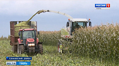 В Тверской области подводят итоги уборки зерновых